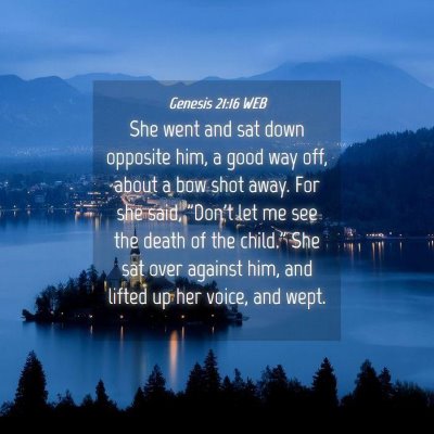 Picture 04 - Genesis 21:16 WEB - She went and sat down opposite him, a good way - Bible Verse Picture