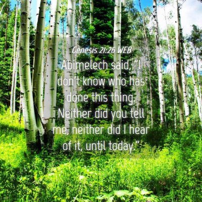 Picture 04 - Genesis 21:26 WEB - Abimelech said, 