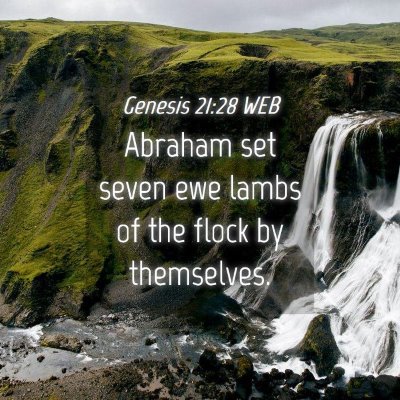 Picture 04 - Genesis 21:28 WEB - Abraham set seven ewe lambs of the flock by - Bible Verse Picture