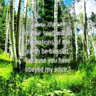 Picture 04 - Genesis 22:18 WEB - In your seed will all the nations of the earth be - Bible Verse Picture