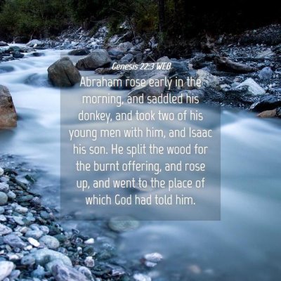 Picture 04 - Genesis 22:3 WEB - Abraham rose early in the morning, and saddled - Bible Verse Picture