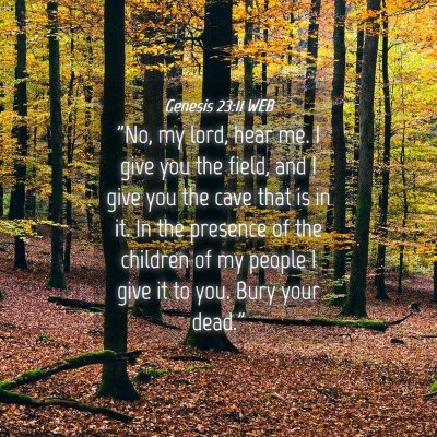 Picture 04 - Genesis 23:11 WEB - 