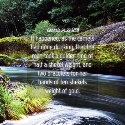 Picture 04 - Genesis 24:22 WEB - It happened, as the camels had done drinking, - Bible Verse Picture