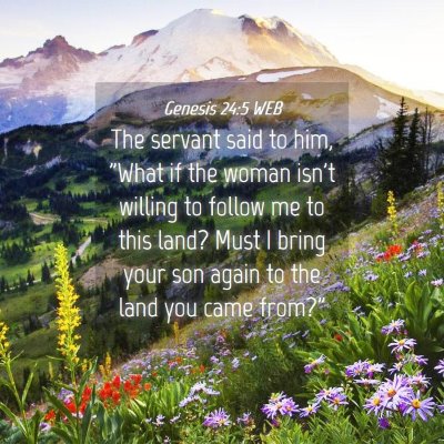 Picture 04 - Genesis 24:5 WEB - The servant said to him, 