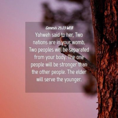 Picture 04 - Genesis 25:23 WEB - Yahweh said to her, Two nations are in your womb, - Bible Verse Picture