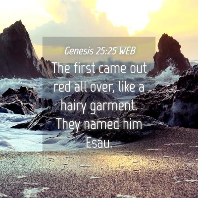 Picture 04 - Genesis 25:25 WEB - The first came out red all over, like a hairy - Bible Verse Picture