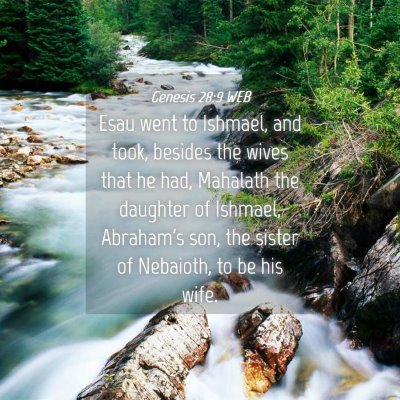 Picture 04 - Genesis 28:9 WEB - Esau went to Ishmael, and took, besides the wives - Bible Verse Picture