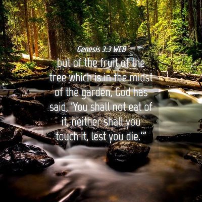 Picture 04 - Genesis 3:3 WEB - but of the fruit of the tree which is in the - Bible Verse Picture