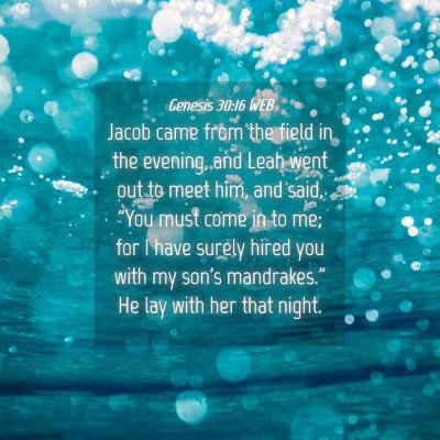 Picture 04 - Genesis 30:16 WEB - Jacob came from the field in the evening, and - Bible Verse Picture