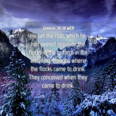 Picture 04 - Genesis 30:38 WEB - He set the rods which he had peeled opposite the - Bible Verse Picture