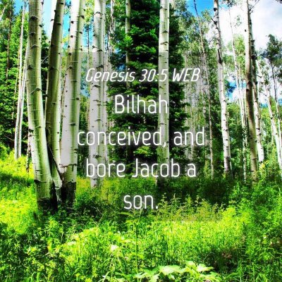 Picture 04 - Genesis 30:5 WEB - Bilhah conceived, and bore Jacob a - Bible Verse Picture