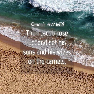 Picture 04 - Genesis 31:17 WEB - Then Jacob rose up, and set his sons and his - Bible Verse Picture