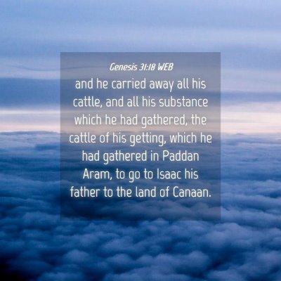 Picture 04 - Genesis 31:18 WEB - and he carried away all his cattle, and all his - Bible Verse Picture