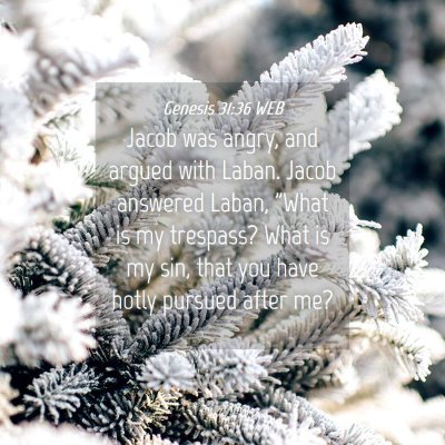 Picture 04 - Genesis 31:36 WEB - Jacob was angry, and argued with Laban. Jacob - Bible Verse Picture