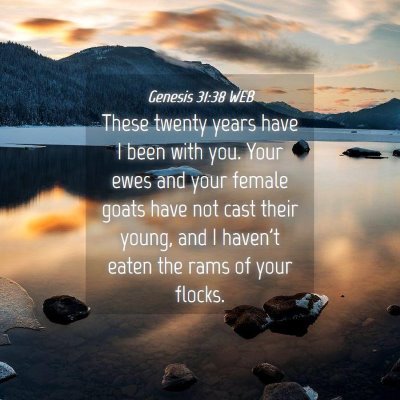 Picture 04 - Genesis 31:38 WEB - These twenty years have I been with you. Your - Bible Verse Picture
