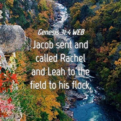 Picture 04 - Genesis 31:4 WEB - Jacob sent and called Rachel and Leah to the - Bible Verse Picture