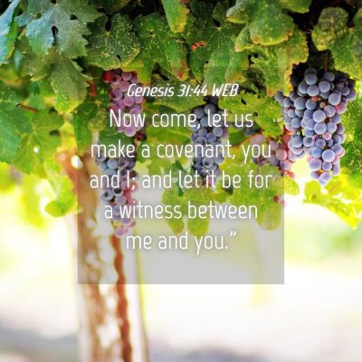 Picture 04 - Genesis 31:44 WEB - Now come, let us make a covenant, you and I; and - Bible Verse Picture