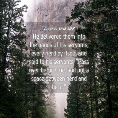 Picture 04 - Genesis 32:16 WEB - He delivered them into the hands of his servants, - Bible Verse Picture