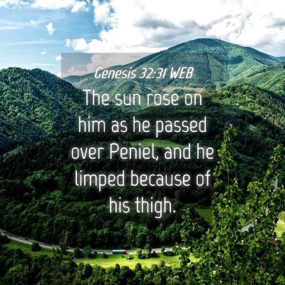 Picture 04 - Genesis 32:31 WEB - The sun rose on him as he passed over Peniel, and - Bible Verse Picture