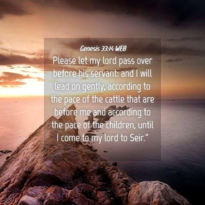 Picture 04 - Genesis 33:14 WEB - Please let my lord pass over before his servant: - Bible Verse Picture