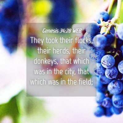 Picture 04 - Genesis 34:28 WEB - They took their flocks, their herds, their - Bible Verse Picture