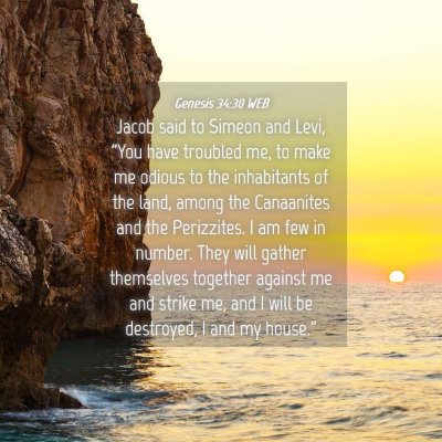 Picture 04 - Genesis 34:30 WEB - Jacob said to Simeon and Levi, 