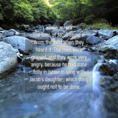 Picture 04 - Genesis 34:7 WEB - The sons of Jacob came in from the field when - Bible Verse Picture