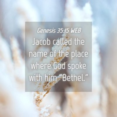 Picture 04 - Genesis 35:15 WEB - Jacob called the name of the place where God - Bible Verse Picture