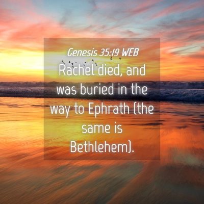 Picture 04 - Genesis 35:19 WEB - Rachel died, and was buried in the way to Ephrath - Bible Verse Picture