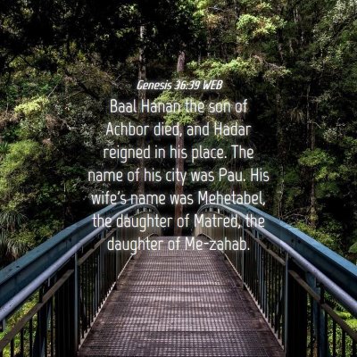Picture 04 - Genesis 36:39 WEB - Baal Hanan the son of Achbor died, and Hadar - Bible Verse Picture