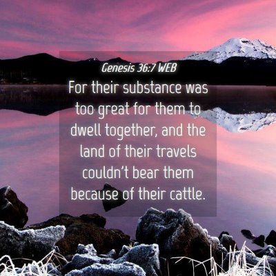 Picture 04 - Genesis 36:7 WEB - For their substance was too great for them to - Bible Verse Picture