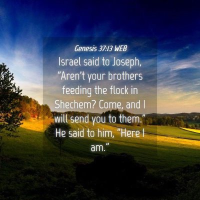 Picture 04 - Genesis 37:13 WEB - Israel said to Joseph, 