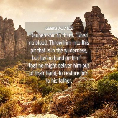 Picture 04 - Genesis 37:22 WEB - Reuben said to them, 