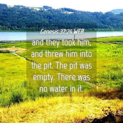 Picture 04 - Genesis 37:24 WEB - and they took him, and threw him into the pit. - Bible Verse Picture
