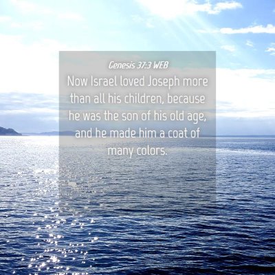 Picture 04 - Genesis 37:3 WEB - Now Israel loved Joseph more than all his - Bible Verse Picture