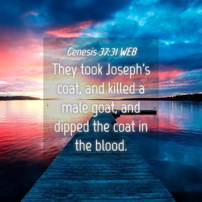 Picture 04 - Genesis 37:31 WEB - They took Joseph's coat, and killed a male goat, - Bible Verse Picture