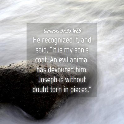 Picture 04 - Genesis 37:33 WEB - He recognized it, and said, 