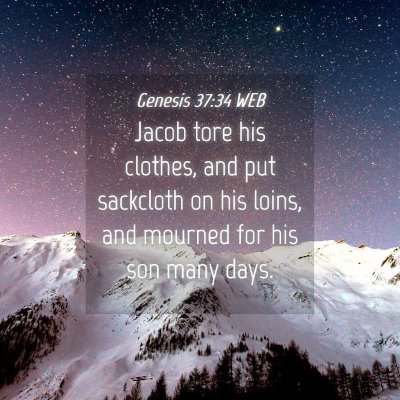 Picture 04 - Genesis 37:34 WEB - Jacob tore his clothes, and put sackcloth on his - Bible Verse Picture