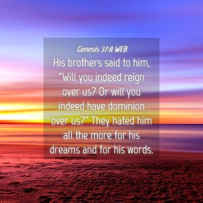 Picture 04 - Genesis 37:8 WEB - His brothers said to him, 