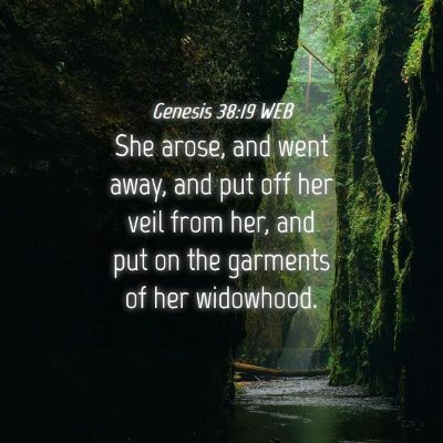 Picture 04 - Genesis 38:19 WEB - She arose, and went away, and put off her veil - Bible Verse Picture
