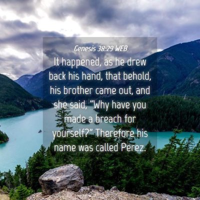 Picture 04 - Genesis 38:29 WEB - It happened, as he drew back his hand, that - Bible Verse Picture