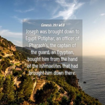 Picture 04 - Genesis 39:1 WEB - Joseph was brought down to Egypt. Potiphar, an - Bible Verse Picture