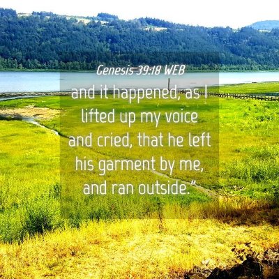 Picture 04 - Genesis 39:18 WEB - and it happened, as I lifted up my voice and - Bible Verse Picture