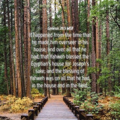 Picture 04 - Genesis 39:5 WEB - It happened from the time that he made him - Bible Verse Picture