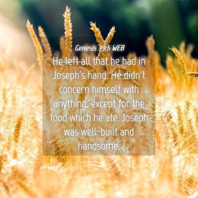 Picture 04 - Genesis 39:6 WEB - He left all that he had in Joseph's hand. He - Bible Verse Picture
