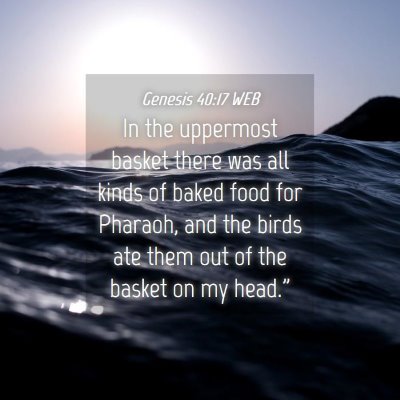 Picture 04 - Genesis 40:17 WEB - In the uppermost basket there was all kinds of - Bible Verse Picture