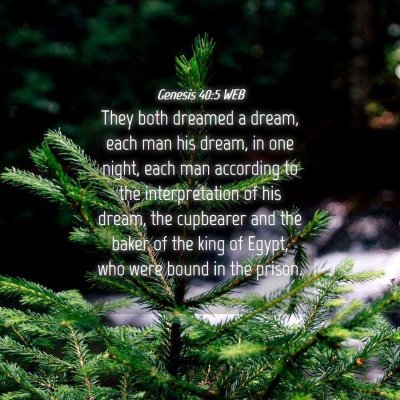 Picture 04 - Genesis 40:5 WEB - They both dreamed a dream, each man his dream, in - Bible Verse Picture