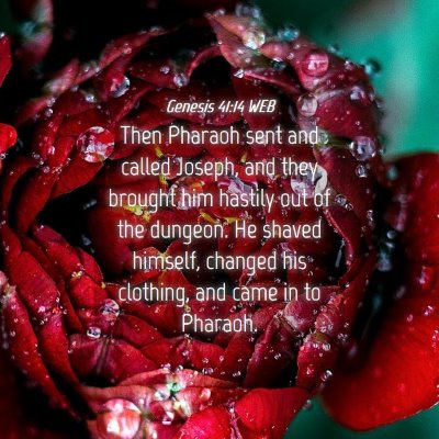 Picture 04 - Genesis 41:14 WEB - Then Pharaoh sent and called Joseph, and they - Bible Verse Picture