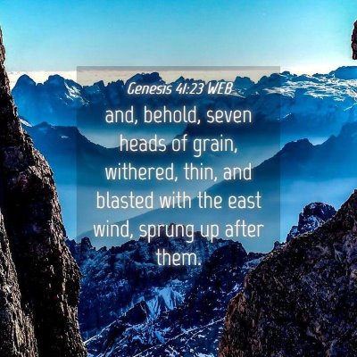 Picture 04 - Genesis 41:23 WEB - and, behold, seven heads of grain, withered, - Bible Verse Picture