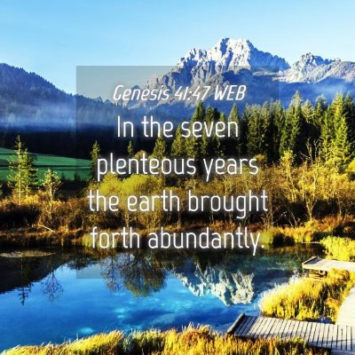 Picture 04 - Genesis 41:47 WEB - In the seven plenteous years the earth brought - Bible Verse Picture
